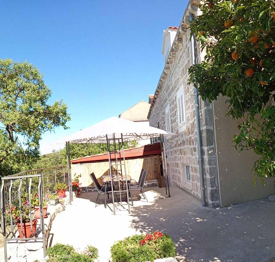 Holiday Apartments Maslina Paho Babino Polje 외부 사진