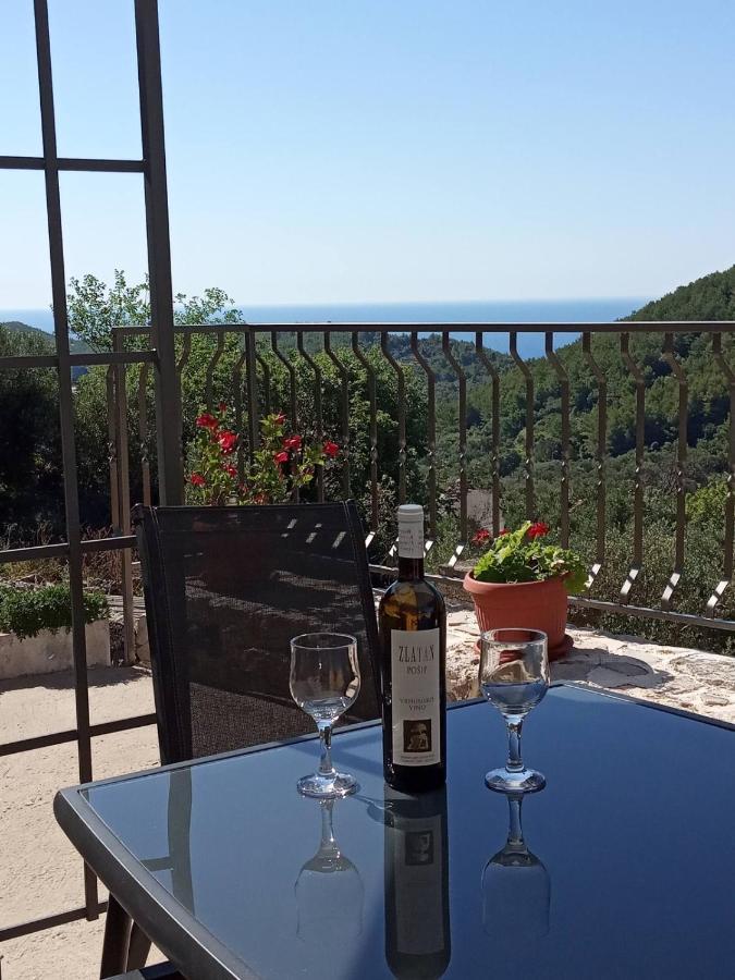 Holiday Apartments Maslina Paho Babino Polje 외부 사진