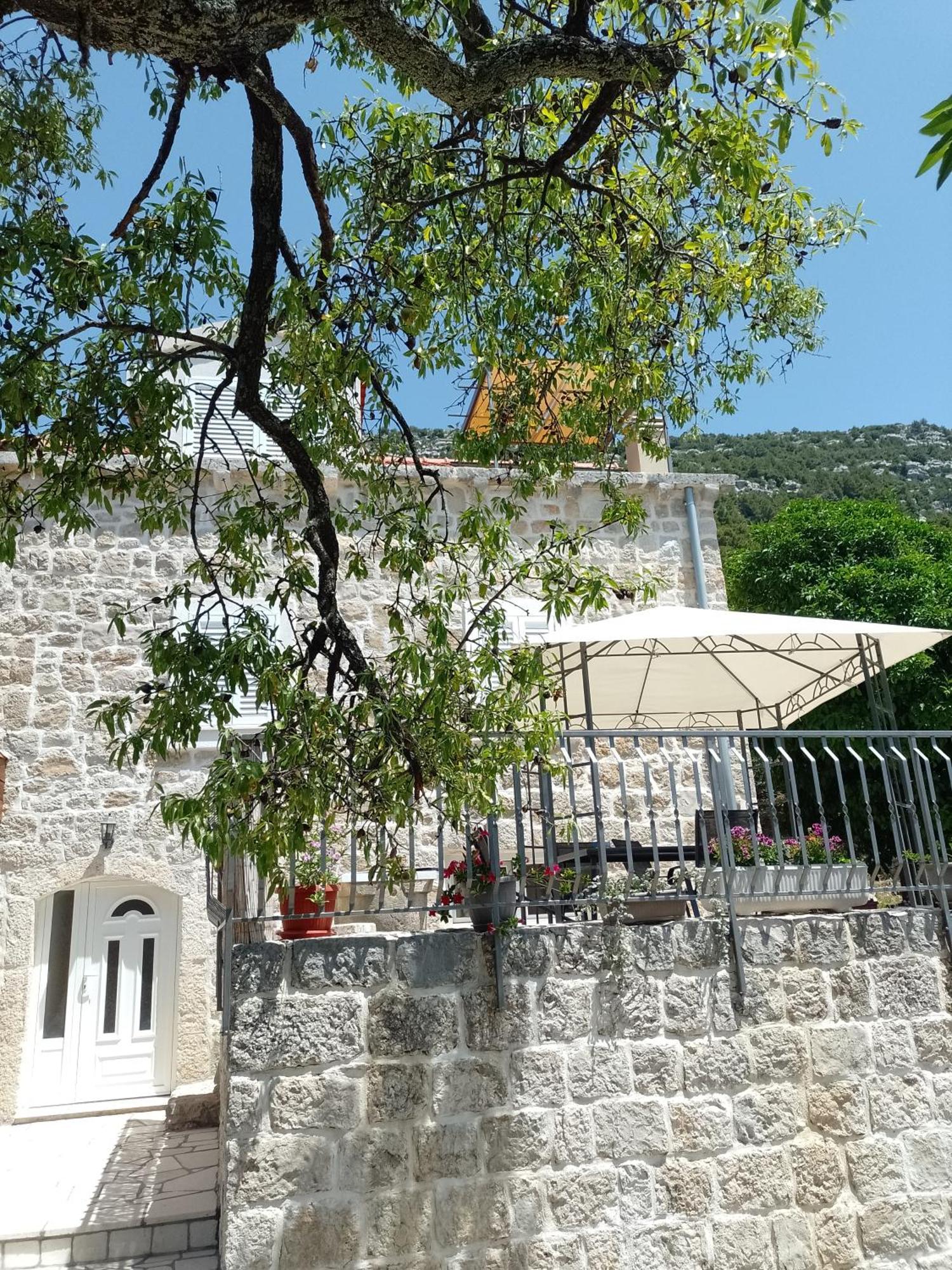 Holiday Apartments Maslina Paho Babino Polje 외부 사진