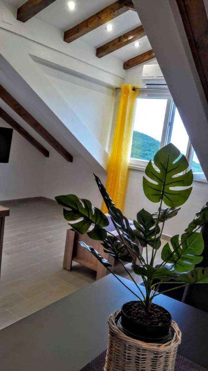 Holiday Apartments Maslina Paho Babino Polje 외부 사진