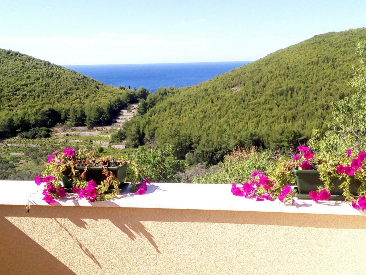 Holiday Apartments Maslina Paho Babino Polje 외부 사진